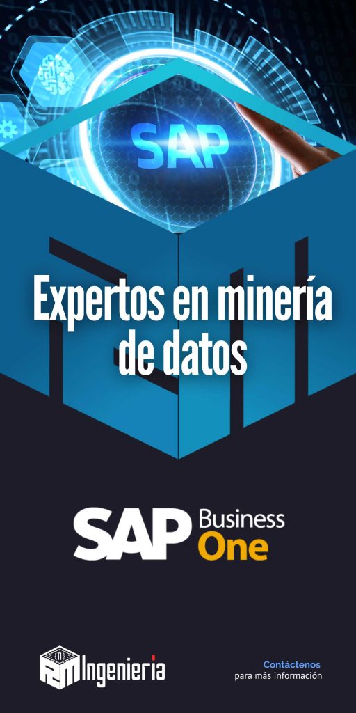 Expertos en minería de datos SAP business one